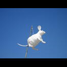 Es gibt auch ausgefallene Lampions (auf dem Platz der drei Könige)